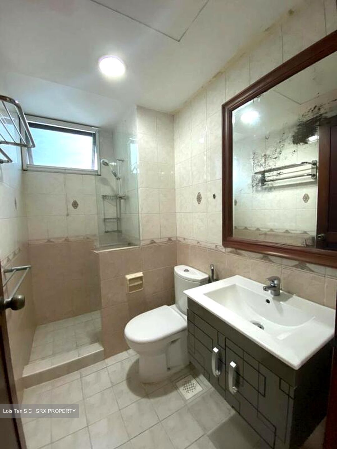 Simei Green Condominium (D18), Condominium #597436021